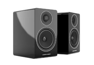 AE - 300 Speaker